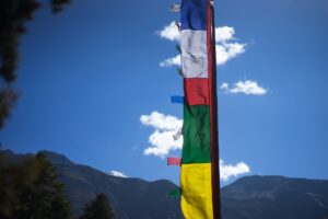 Cross-Border Collaboration: A Decade of Advancing Tibetan Studies
