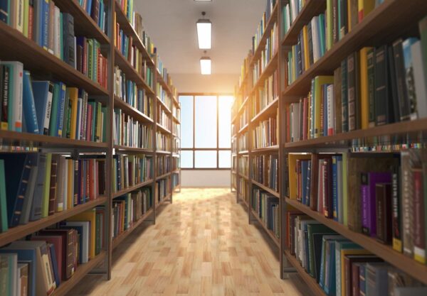 library shelves with sunny window
