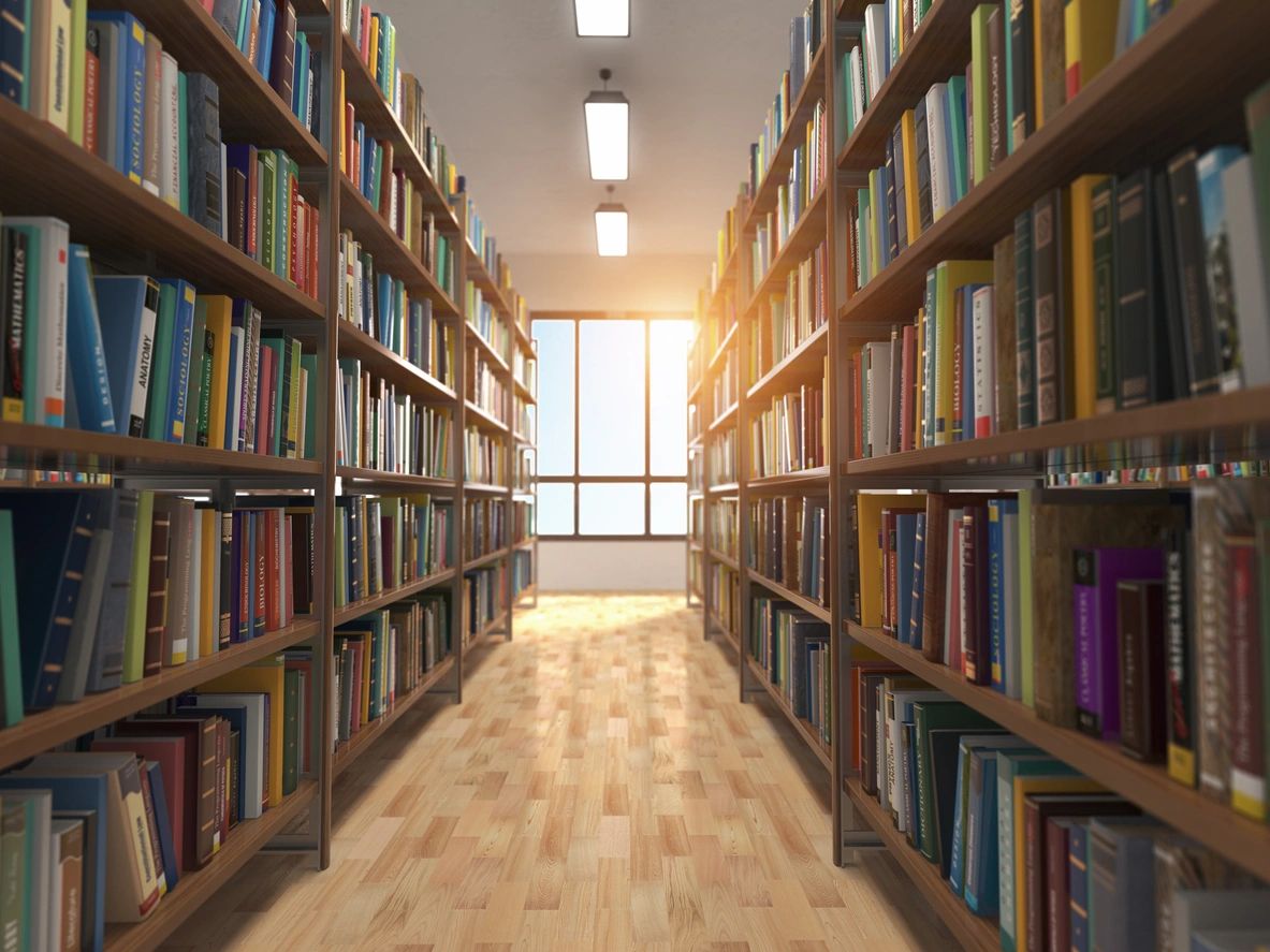 library shelves with sunny window
