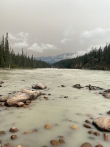 Towards Knowledge Justice: Centering Marginalized Community Expertise in Academia