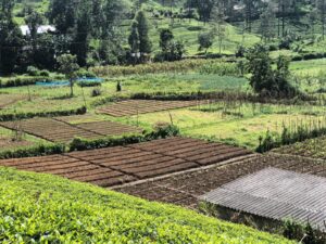 Who Is Research For? Rethinking Information Privilege