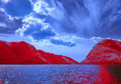 Information Literacy and the Shaping of Reality